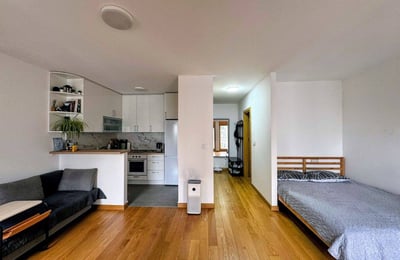 Аренда современной 1-комнатной квартиры, 42 м², район Земун, Белград, Сербия